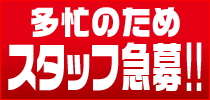 スタッフ急募